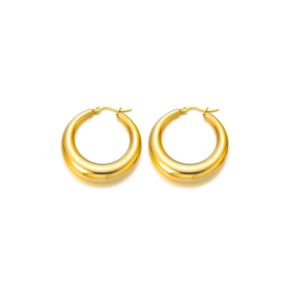 Circle Hoops Earrings