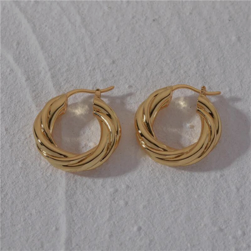 Twisted Circle Hoops Earrings