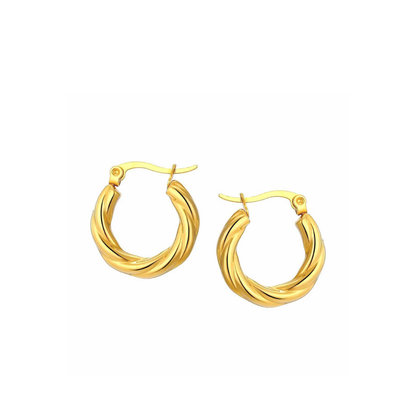 Twisted Circle Hoops Earrings